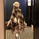 Жіночий шарф-накидка Fashion коричневий фото 1