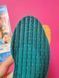 Устілки для дитячого взуття Coccine Mala Stopa Aloe Vera 665/11/19-35/99 фото 4