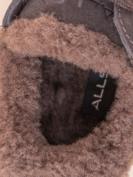 Жіночі утеплені кросівки Allsy 219180 коричневі натуральна замша фото